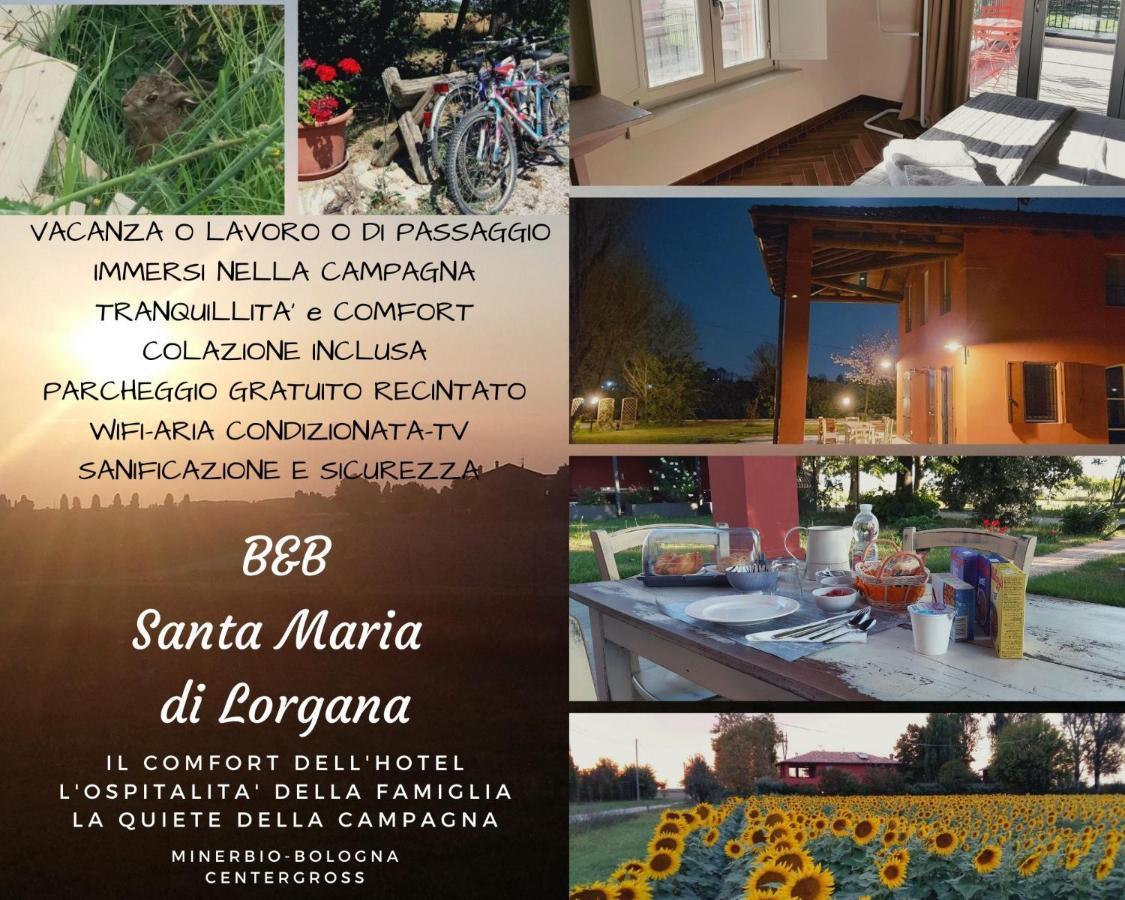 Santa Maria Di Lorgana Bed and Breakfast Minerbio Exteriör bild