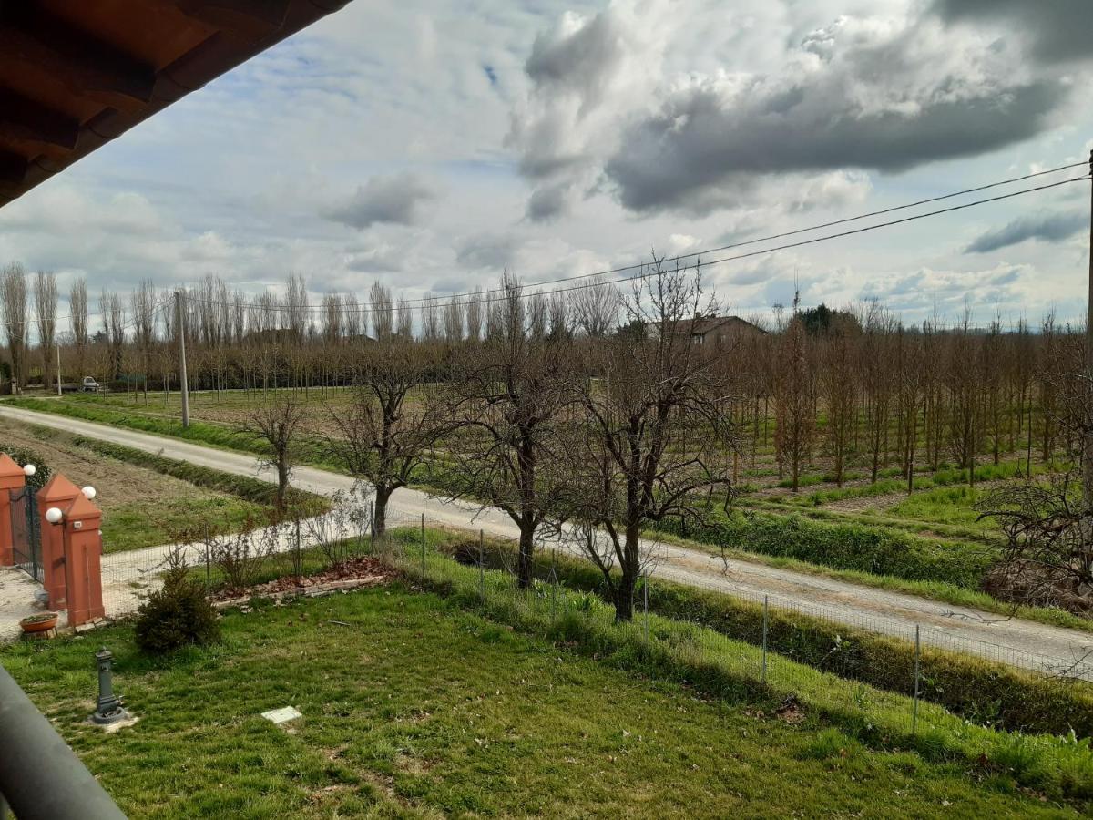 Santa Maria Di Lorgana Bed and Breakfast Minerbio Exteriör bild
